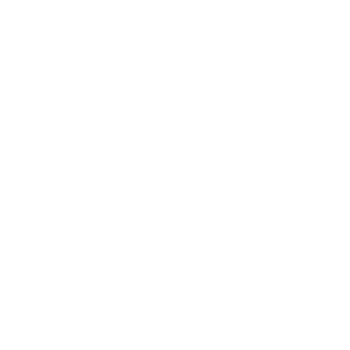 Launch and Support Icon